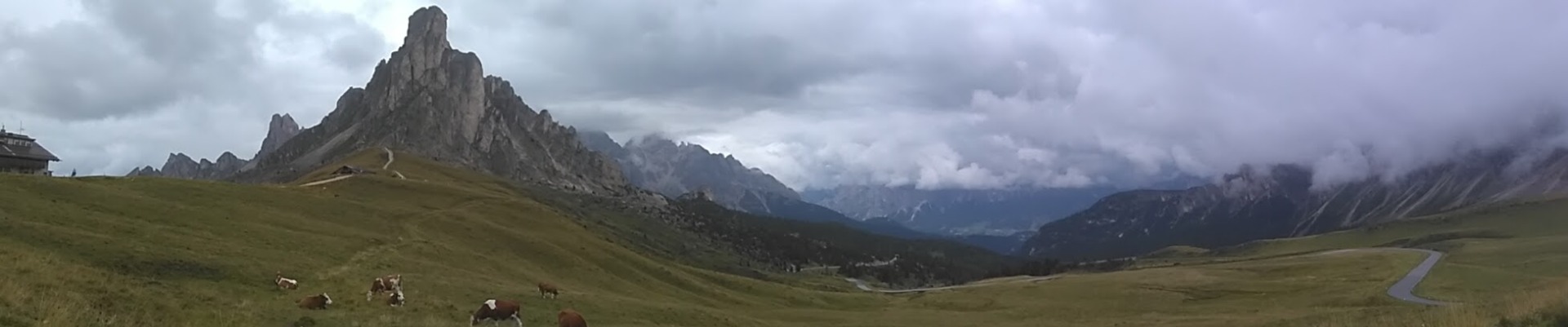 Fotó: Tarcsi Ildikó ©