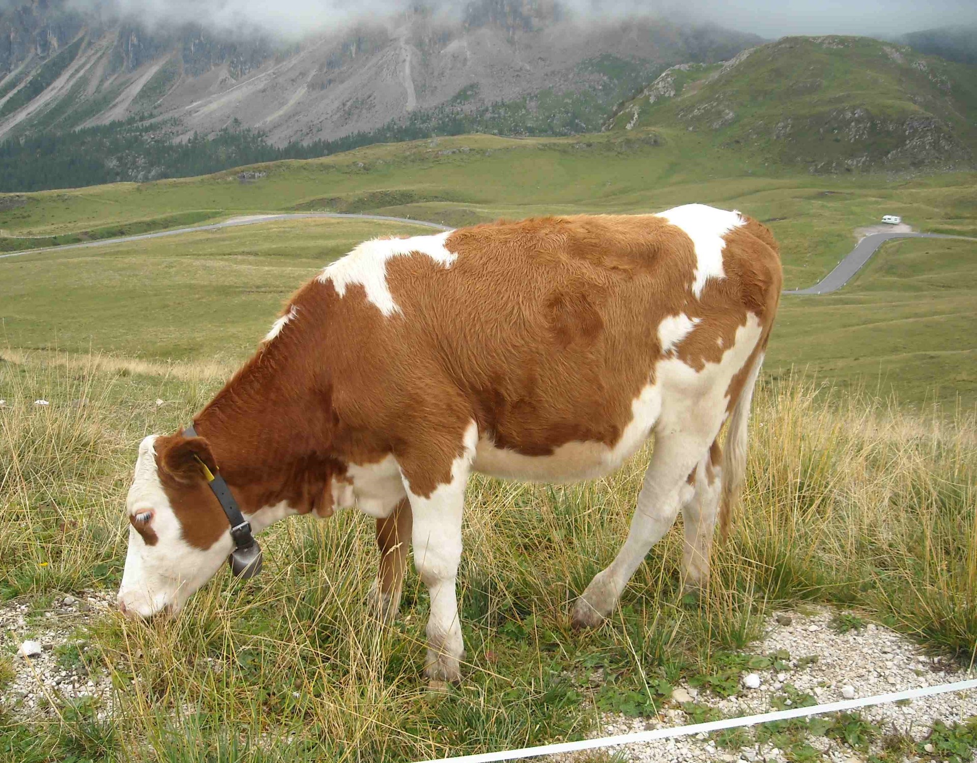 Fotó: Tarcsi Ildikó ©