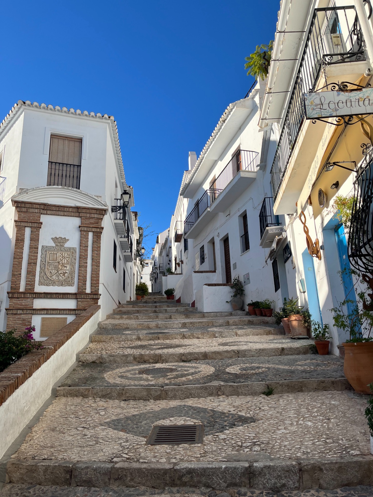 Fotó: Tarcsi Ildikó ©